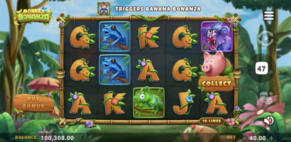 Monkey Bonanza