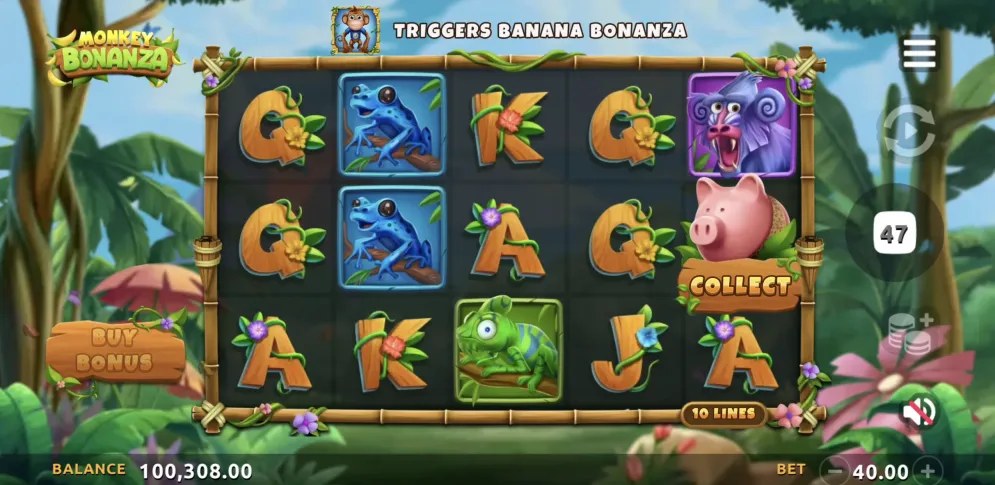 Monkey Bonanza
